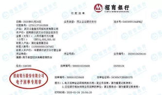 解放軍 醫療工作隊 央企互聯網企業 武漢 我們來了