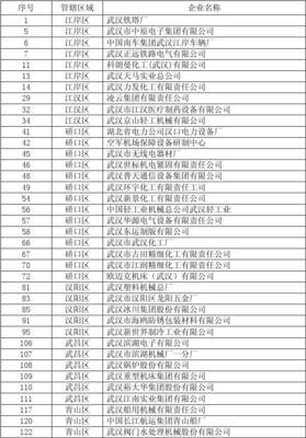 武漢市企業(yè)分布