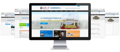 武漢大學卓玉教育培訓中心 打造企業(yè)門戶網(wǎng)站的必要性與實踐